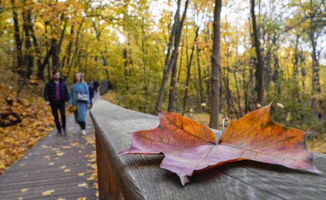 Прогноз погоды: когда в Москве наступит «бабье лето»