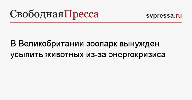 Смоленск Эвтаназия Животных