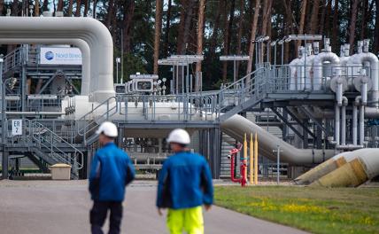 Россия готова спасти Европу, но Европа выбирает суицид