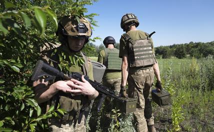 Оборона Херсона: Киев несет большие потери, но Зеленский требует наступать