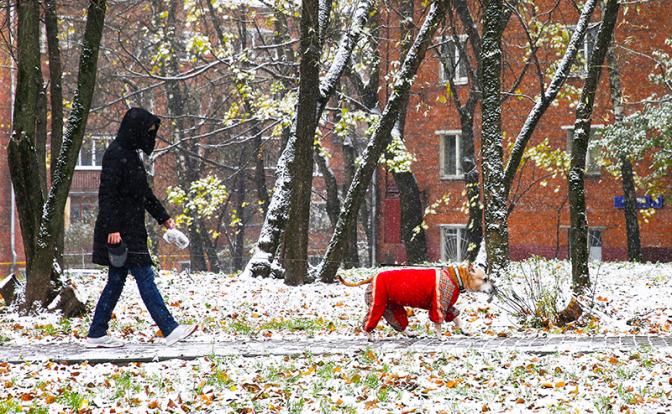 Вильфанд рассказал о погоде в Москве: Ждем снег