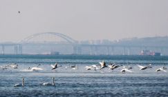 Не грузись на стороне - а то в Азовское море не пустят