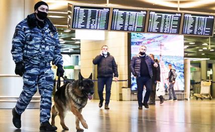 В московских аэропортах введен режим повышенной угрозы теракта