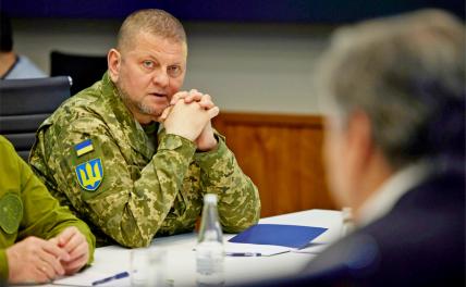 На фото: главнокомандующий ВСУ Валерий Залужный