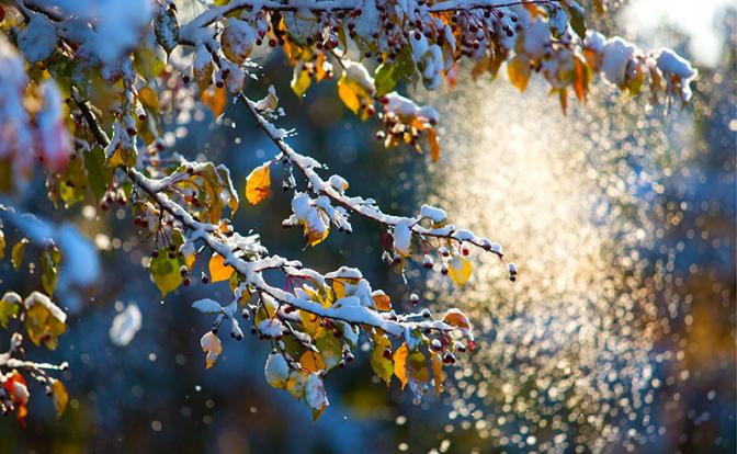 Синоптики обещают москвичам морозную субботу