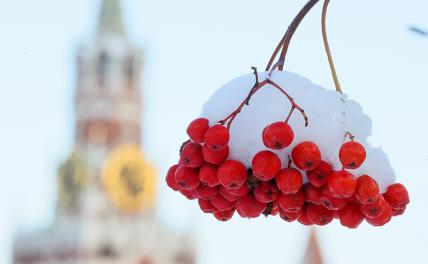 Дальше будет только хуже. Прогноз погоды на зиму 2022/2023