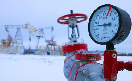 Вашингтон избавляет Европу от российской нефти, но сам продолжает покупать ее