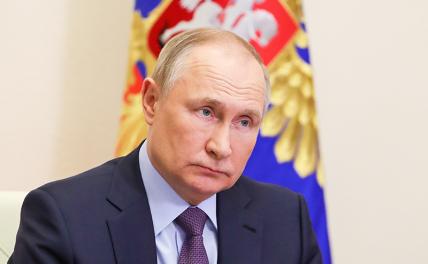 На фото: президент РФ Владимир Путин.