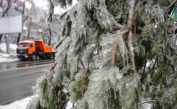 Прогноз синоптиков: в Москве ожидается тропический дождь