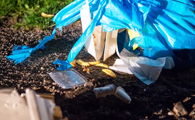 Любителей выбрасывать мусор из автомобилей начнут фиксировать на видео