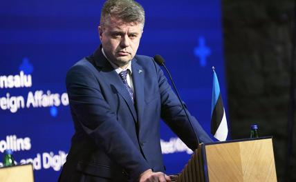 На фото: министр иностранных дел Эстонии Урмас Рейнсалу