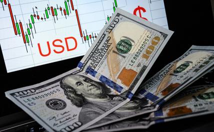 Дальнейшая просадка: эксперт сделала прогноз курса доллара