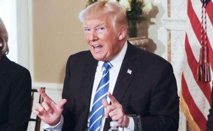 На фото: экс-президент США Дональд Трамп