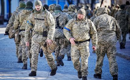 Рогов: в Запорожье зреет бунт против режима Зеленского