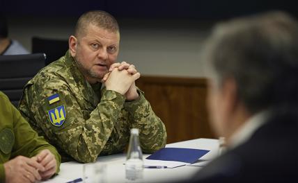 На фото: главнокомандующий Вооружёнными силами Украины Валерий Залужный.