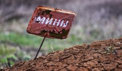 Украина готовится к рекордному урожаю с минных полей