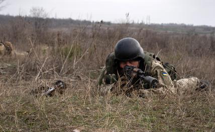 Рогов: В Запорожье активизировались боевики Зеленского