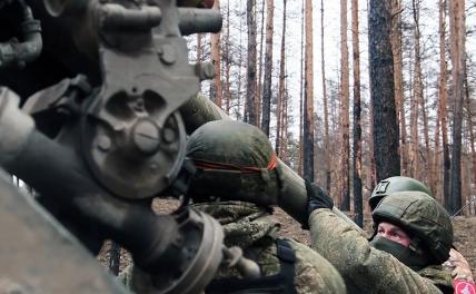 Эксперт: пассивное поведение российской армии дает киевскому режиму предвкушение побед