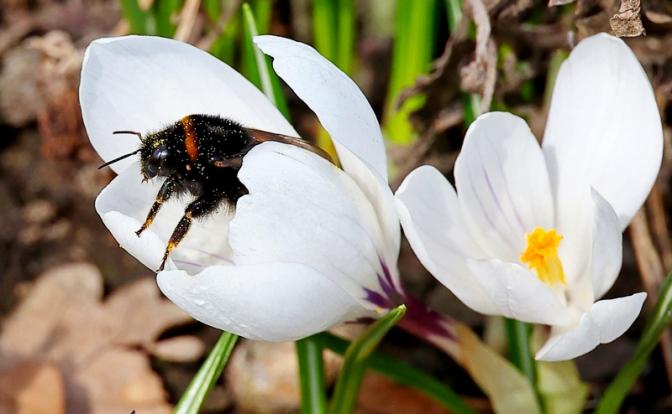 Прогноз погоды: В Москве обещают +17