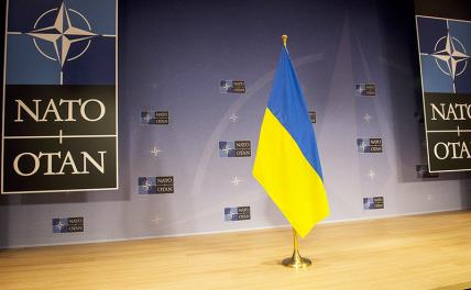 Аналитик Bloomberg объяснил, почему членство Украины в НАТО опасно