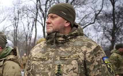 На фото: главнокомандующий ВСУ Валерий Залужный