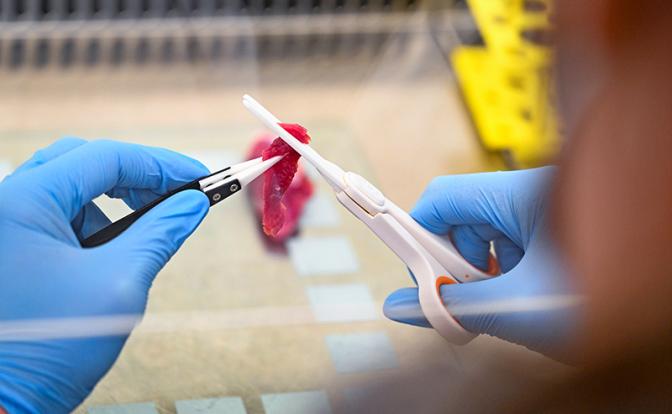 Китай накормит человечество искусственным мясом