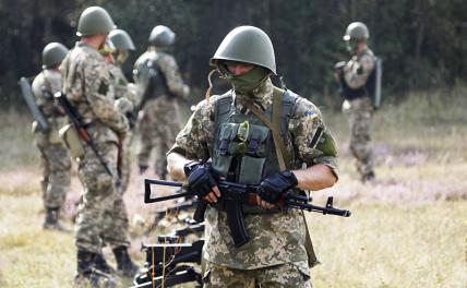 Военкоры «РВ»: Солдаты ВСУ бунтуют и отказываются идти в атаку в Запорожской области