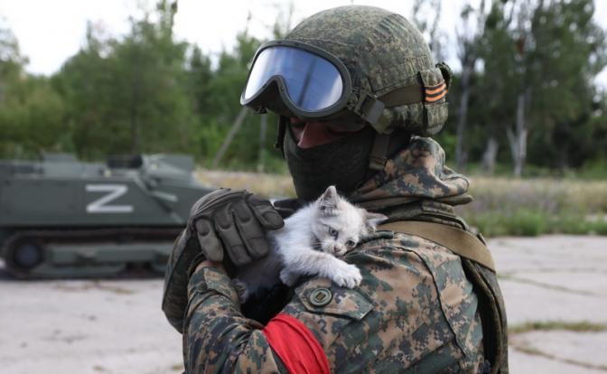 Новости спецоперации: минные поля остановили наступление четырёх колонн ВСУ