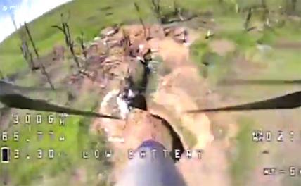 На фото: Минобороны опубликовало кадры уничтожения ударными дронами опорного пункта ВСУ.