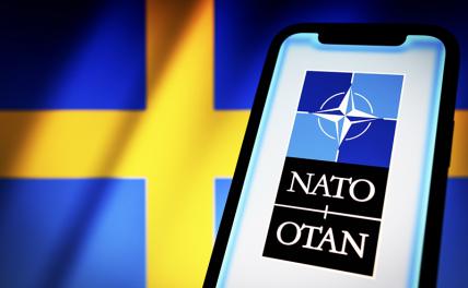 В Турции назвали вступление Швеции в НАТО источником угроз и призвали наложить вето