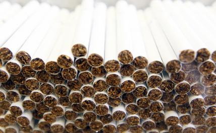 Путин подписал закон о государственном регулировании табачного рынка