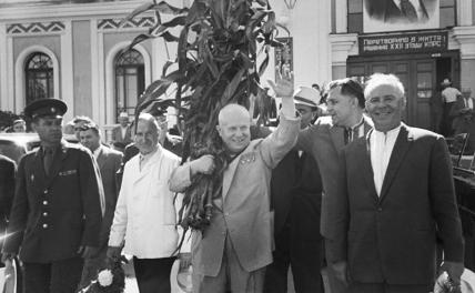 На фото (в центре): первый секретарь Центрального комитета КПСС, Председатель Совета министров СССР Никита Сергеевич Хрущев, 1962 год.