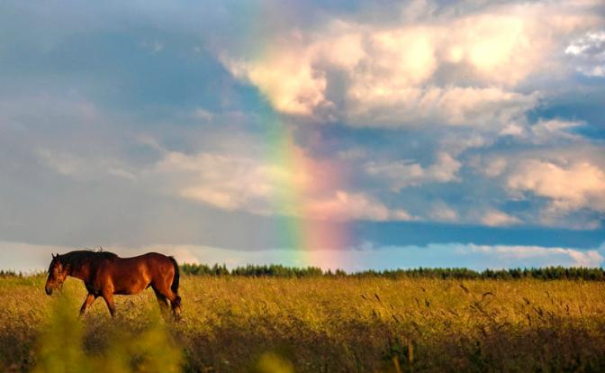 И грянет буря. Синоптики сделали страшный прогноз погоды на август 2023