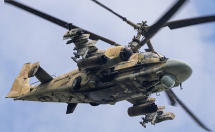 На фото: вертолет Ка-52 "Аллигатор"