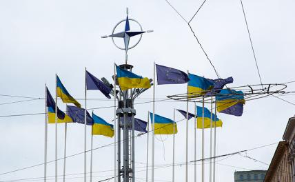 Эксперт оценила истерики Киева из-за неприглашения Украины в состав НАТО