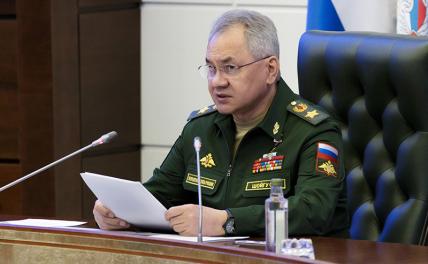 На фото: министр обороны России Сергей Шойгу