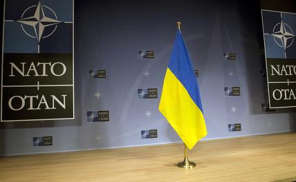 Военный эксперт оценил вероятность вступления Украины в НАТО