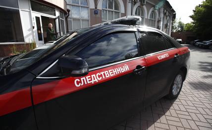 СК возбудил уголовное дело после нападения на журналистку Милашину и адвоката Немова