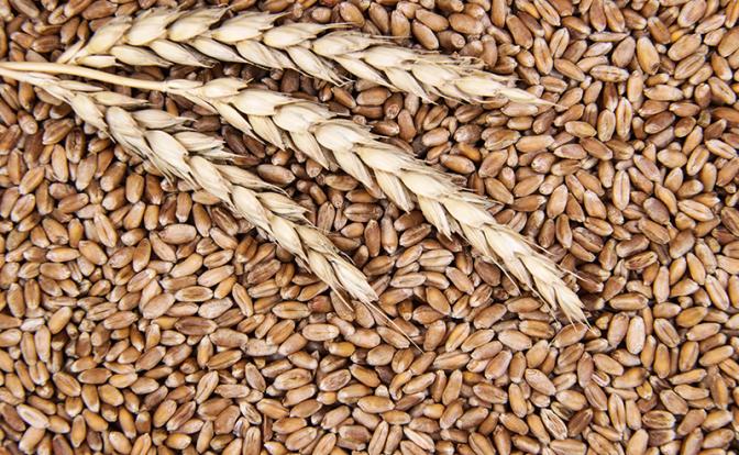 Путин заявил, что договорённости по зерновой сделке не выполнены