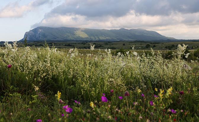 На фото: виды Крыма