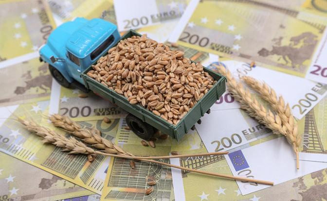 Зеленский предложил продолжить зерновую сделку без участия РФ