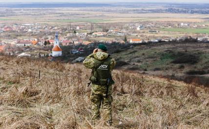 На фото: военнослужащий патрулирует украинско-венгерскую государственную границу