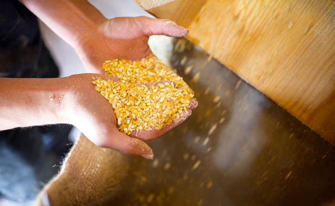 Боррель предупредил мир о продовольственном кризисе после прекращения зерновой сделки