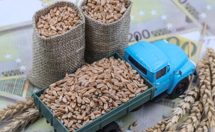 Ушаков: Россия готова вернуться к участию в зерновой сделке