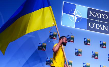 «Пытаются разыгрывать варианты»: депутат об идее «Украина в НАТО в обмен на территории»