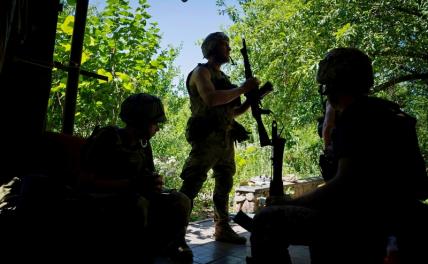Макгрегор: Армия Украины тает в результате контрнаступления
