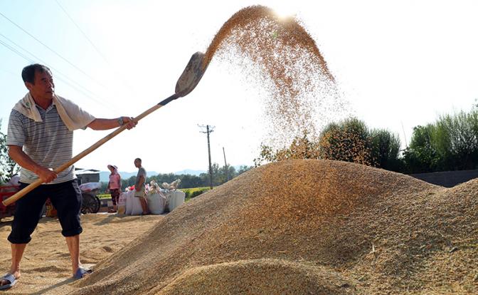 Китайские крестьяне живут так, что российским остается рыдать от зависти
