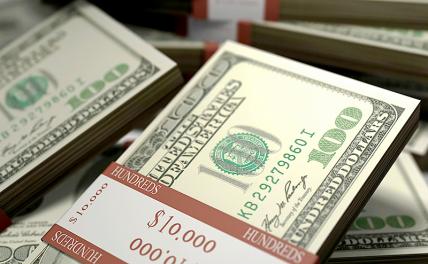 Эксперт Минчичова: Обязательная продажа валюты станет шоком для экономики