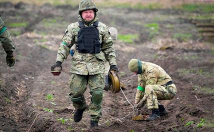 Украина попросила Камбоджу помочь разминировать страну