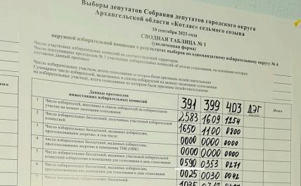 Скандал по итогам выборов разгорелся в Архангельской области